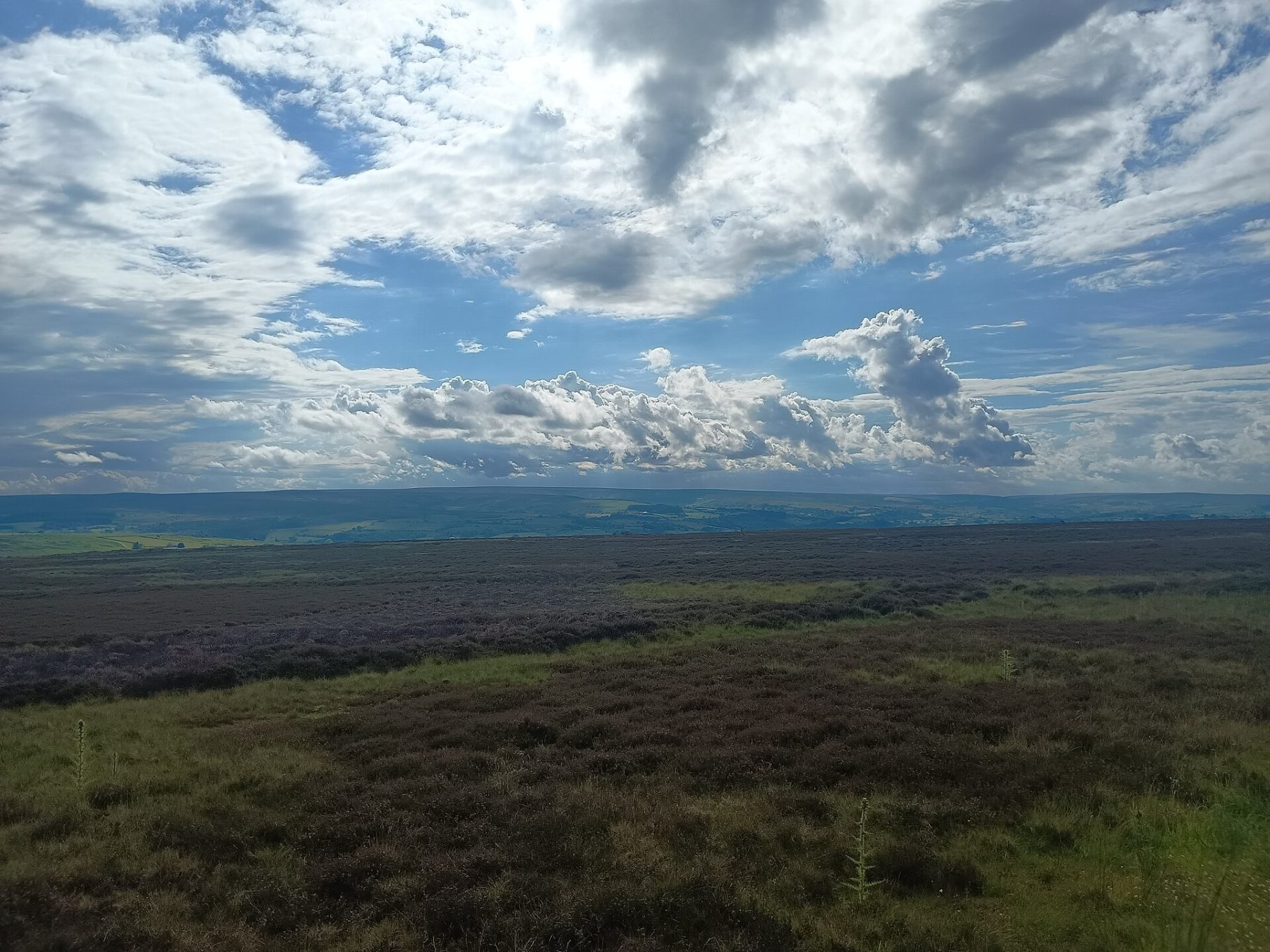 Sleights Moor and Blue Bank
