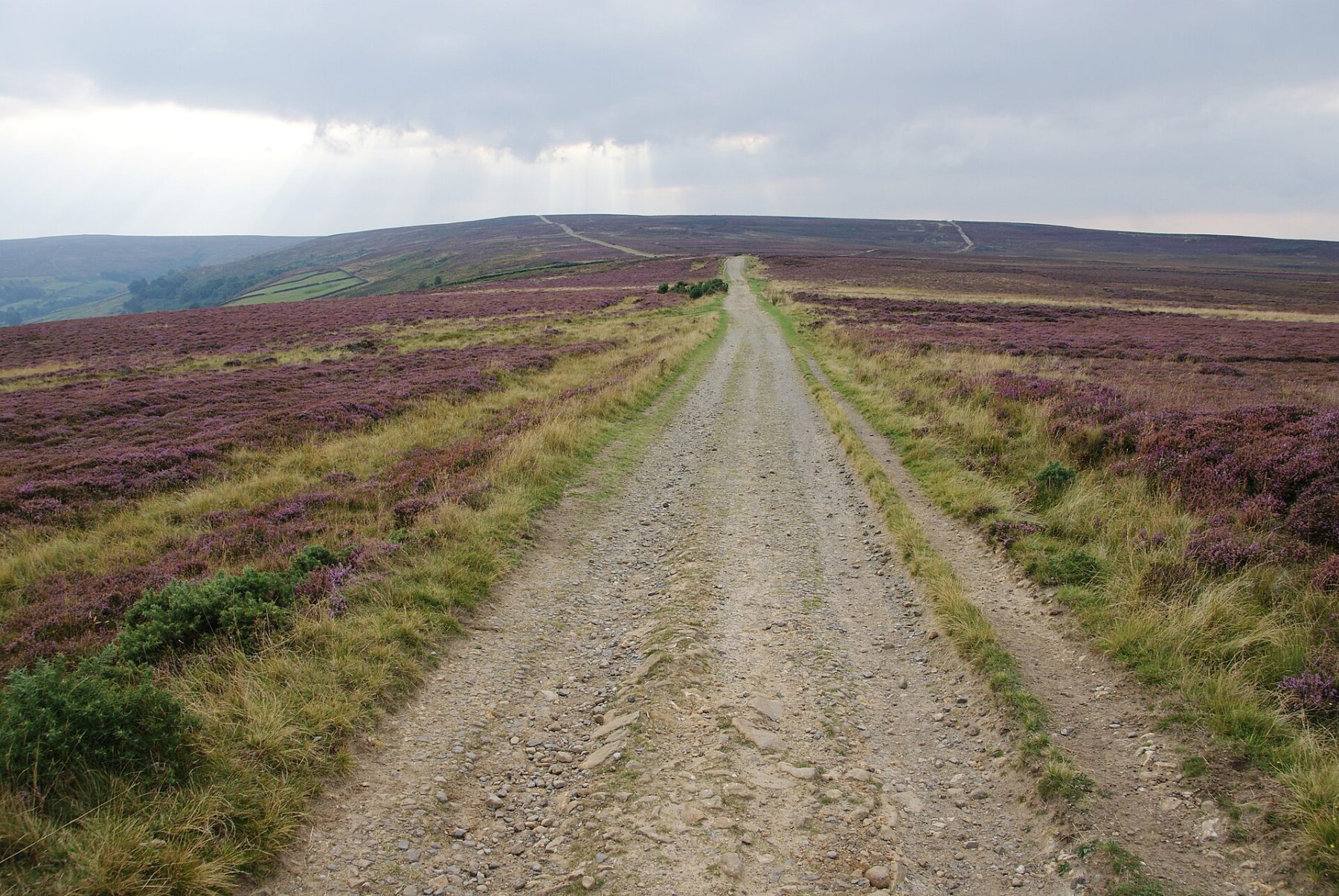 Glaisdale Rigg