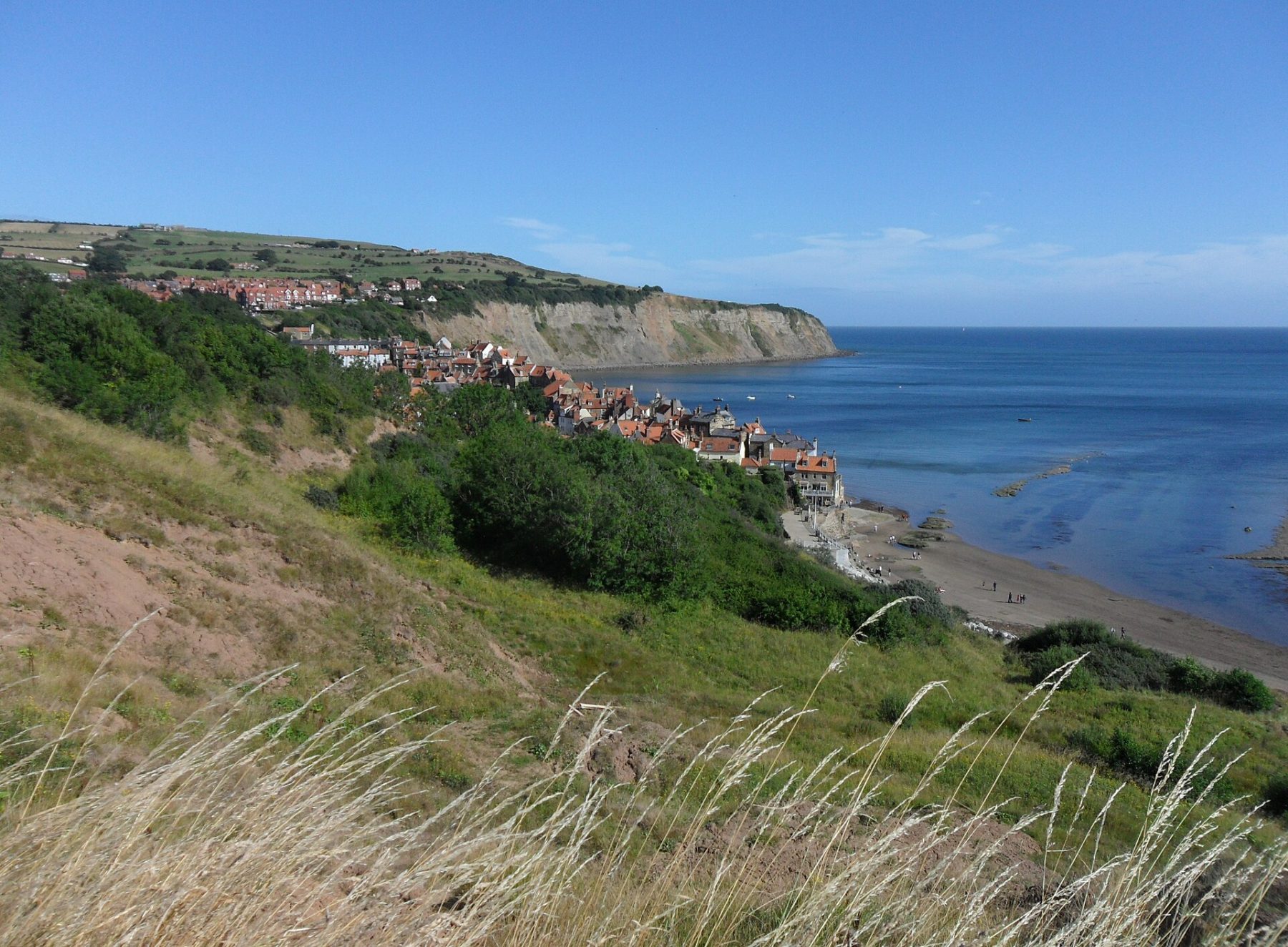 Robin Hood's Bay Folk Weekend