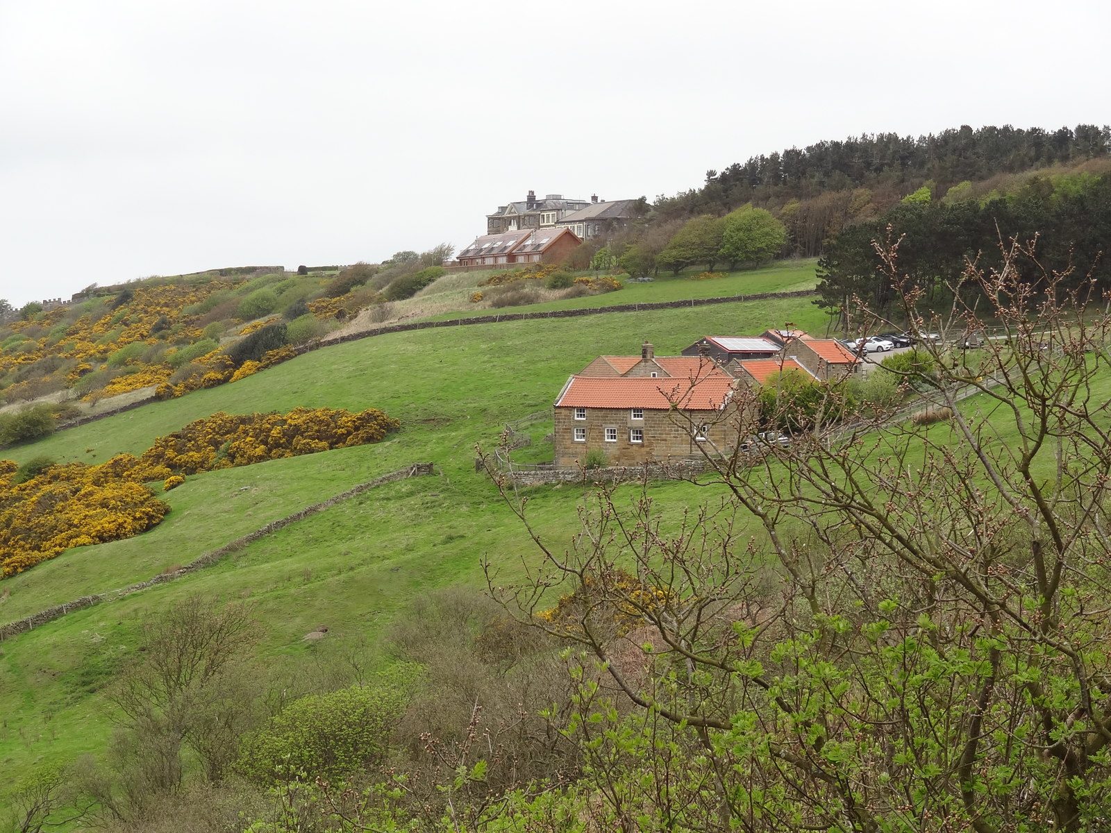 Ravenscar